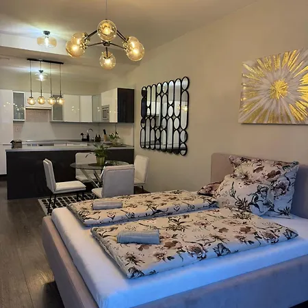 Apartman Need Is Love1