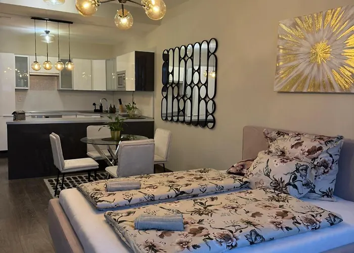 Apartman Need Is Love1